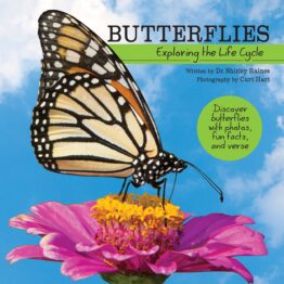 BUTTERFLIES: EXPLORING THE LIFE CYCLE | HARDCOVER
