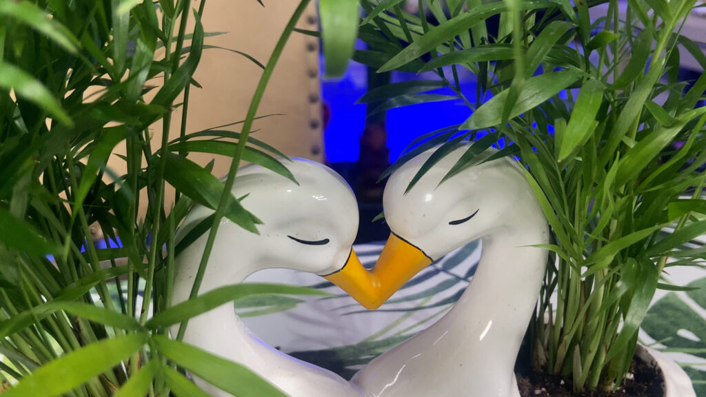 Parlor Palm: A Timeless Houseplant for Real Life Spaces